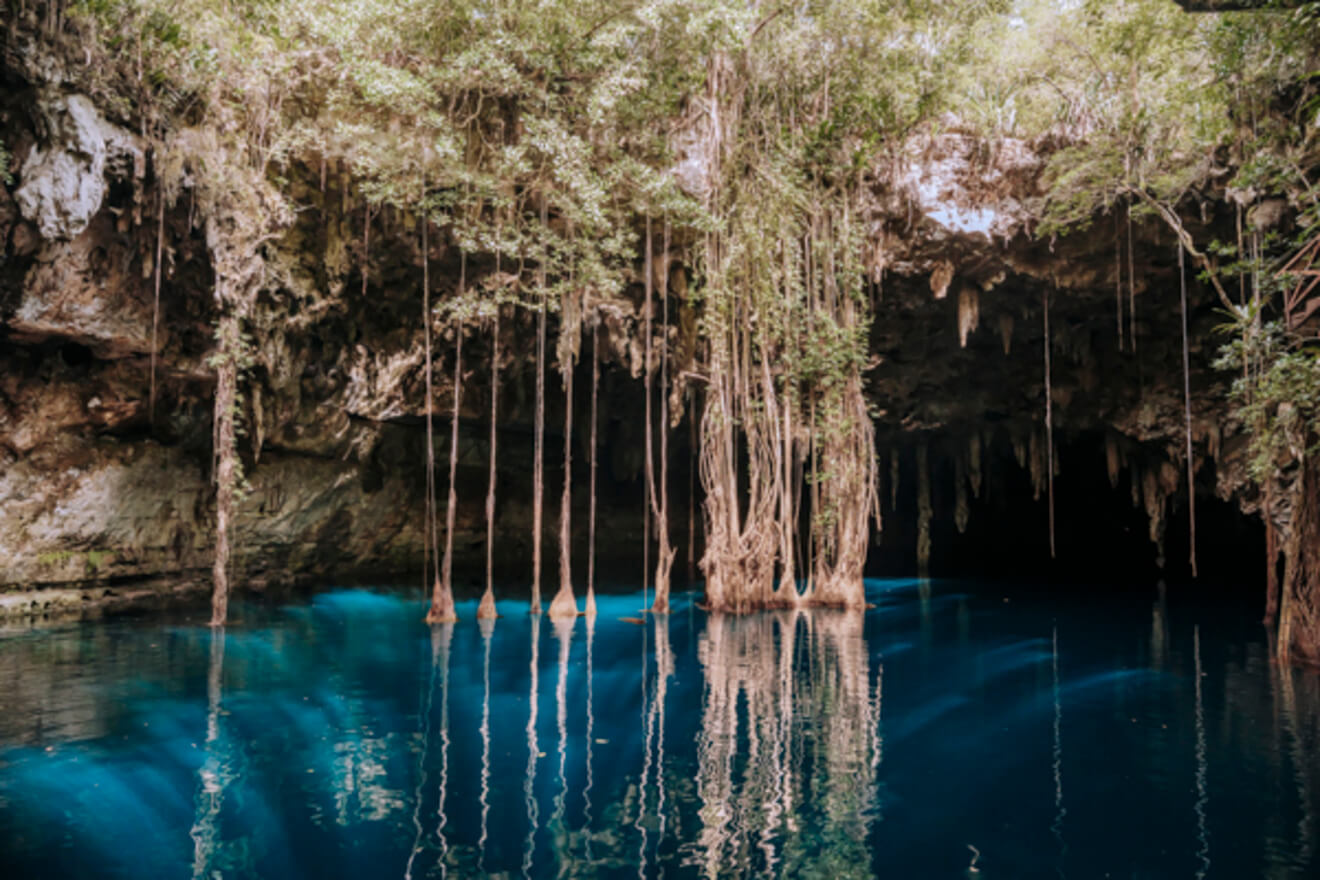 Actividad con familia Maya y experiencia en Cenote Chenxunan imagen 7