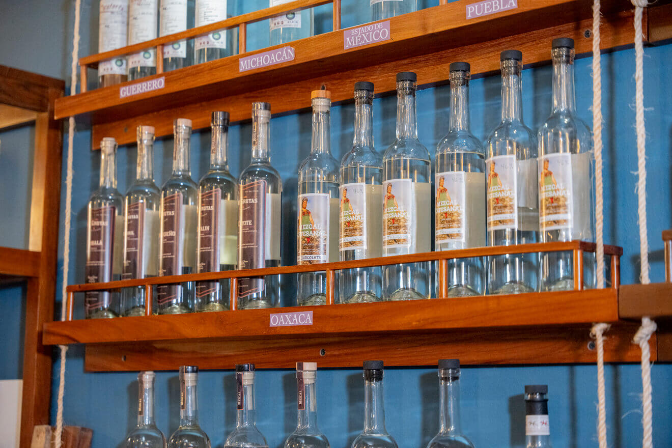 Degustación de Mezcal imagen 6