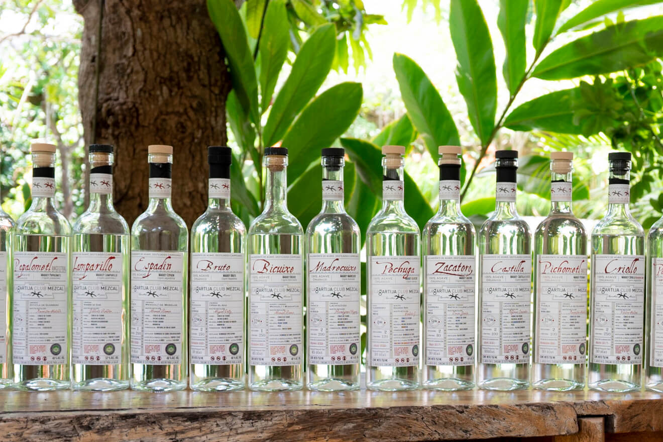 Degustación de Mezcal imagen 7