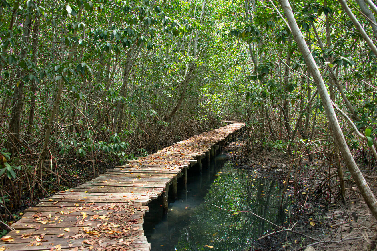 Tour a Río Lagartos desde Valladolid imagen 13