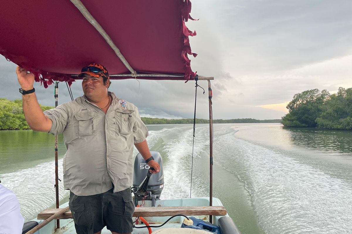 Todas las fotografías imagen 115